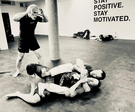 BJJ Brazilian Jiu Jitsu