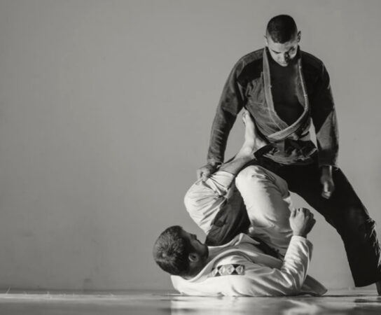 BJJ Brazilian Jiu Jitsu